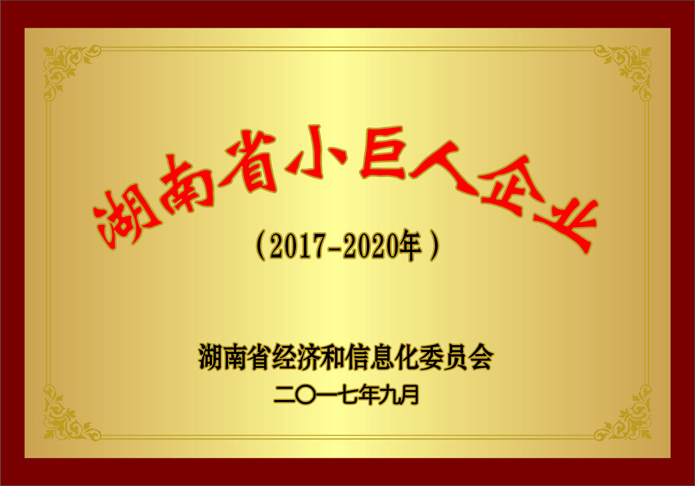 湖南省小巨人企業